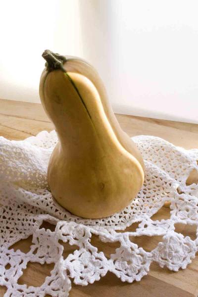 La zucca violina