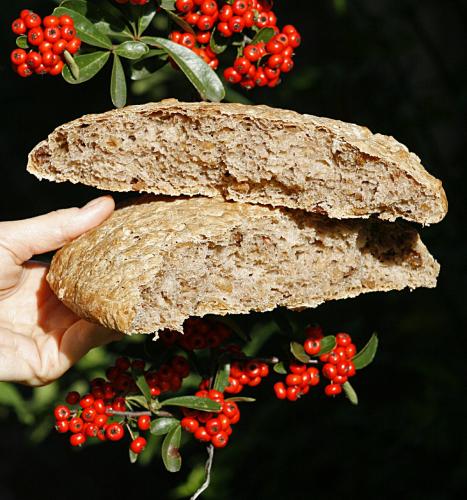 Pagnotta nociata, particolare interno