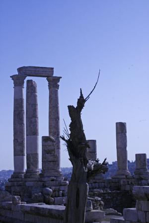 Amman: scheletri di un tempo passato