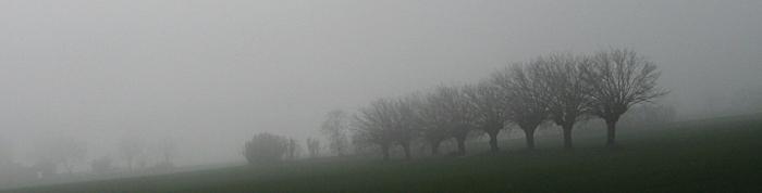 Nebbia d'autunno